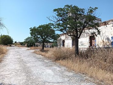 Terreni e lotti in vendita a *