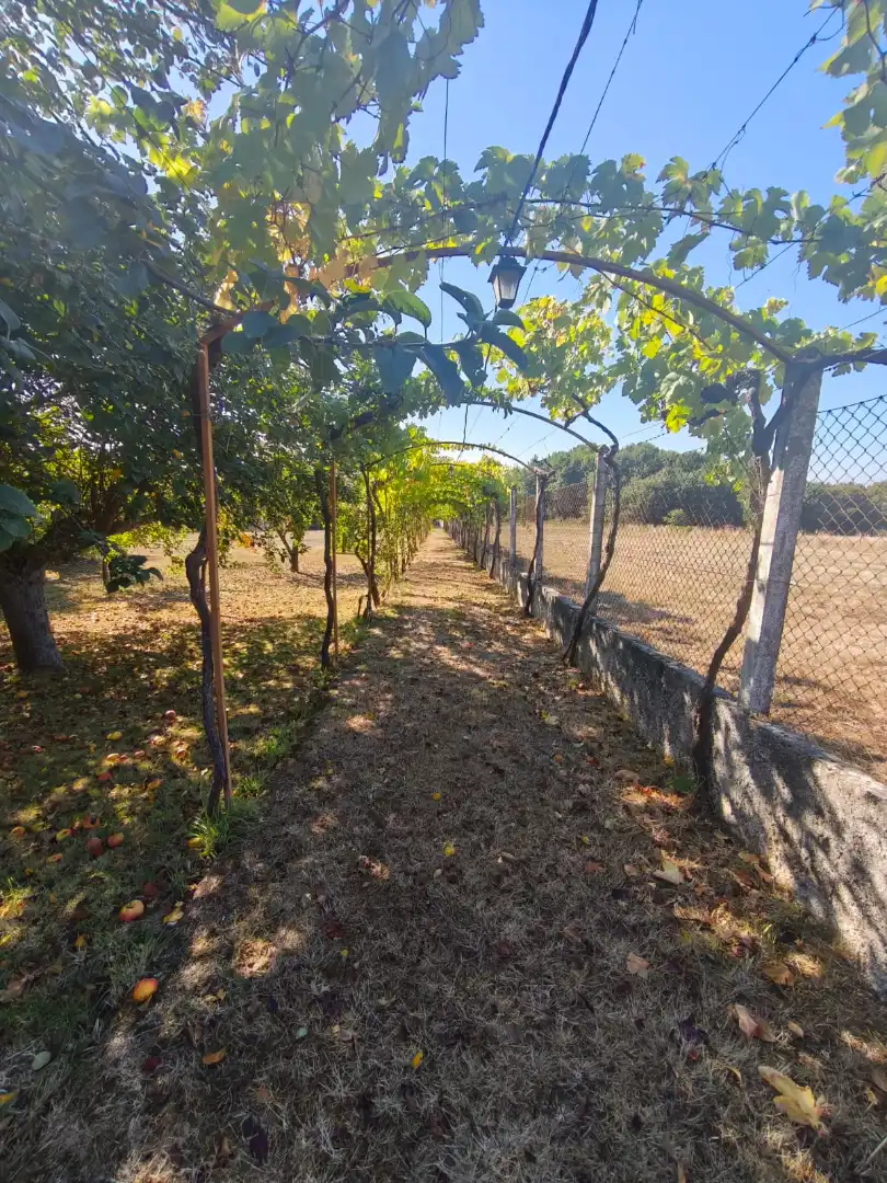 Chalet con terraza en venta en Coles, imagen 34