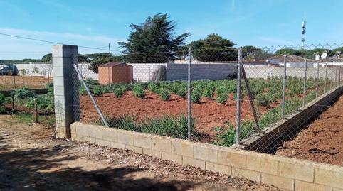 Foto 3 de Residencial en venda a Las Lagunas - Campano, Cádiz