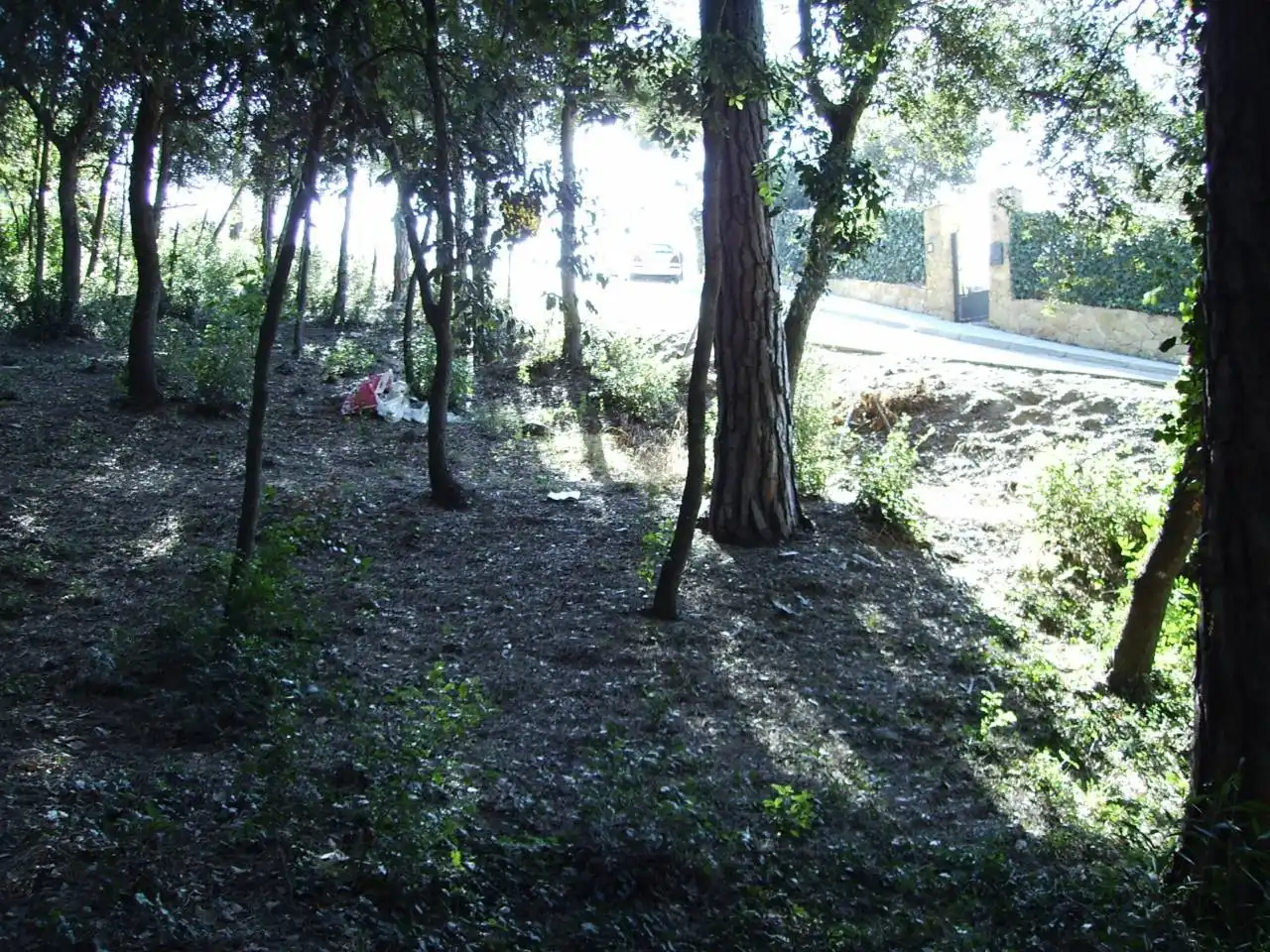 Terreny residencial en venda a Calle Les Alzines 8 Bis, imagen 19
