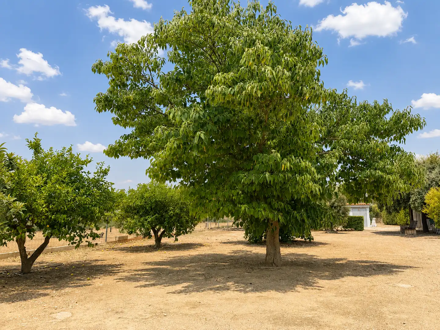 Casa o chalet en venta en Ontinyent con Aire acondicionado, Calefacción y Jardín privado