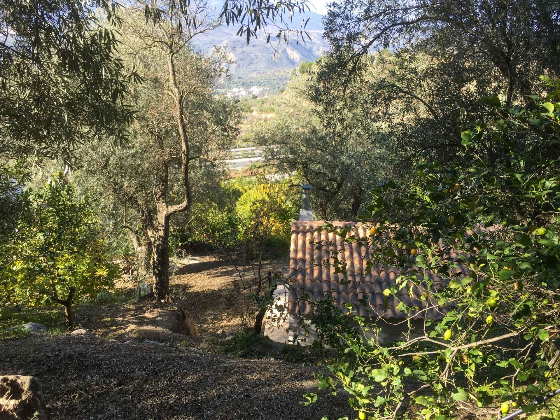 Country house for sale in Lecrín