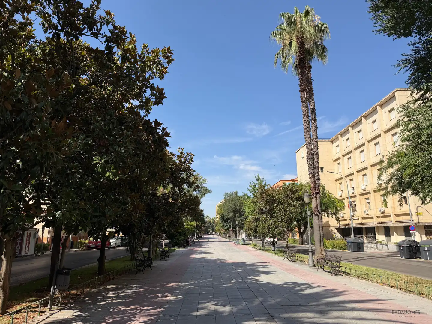 Gewerbefläche zur Miete in Avenida de Cristobal Colón, imagen 21