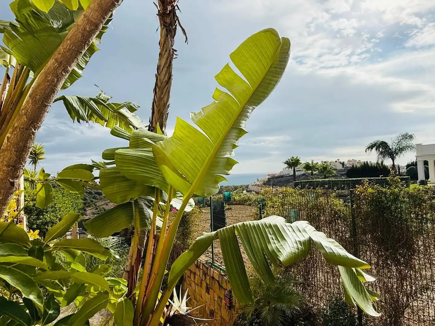 Villa avec terrasse à vendre à MAJESTIC (UR7A), imagen 32