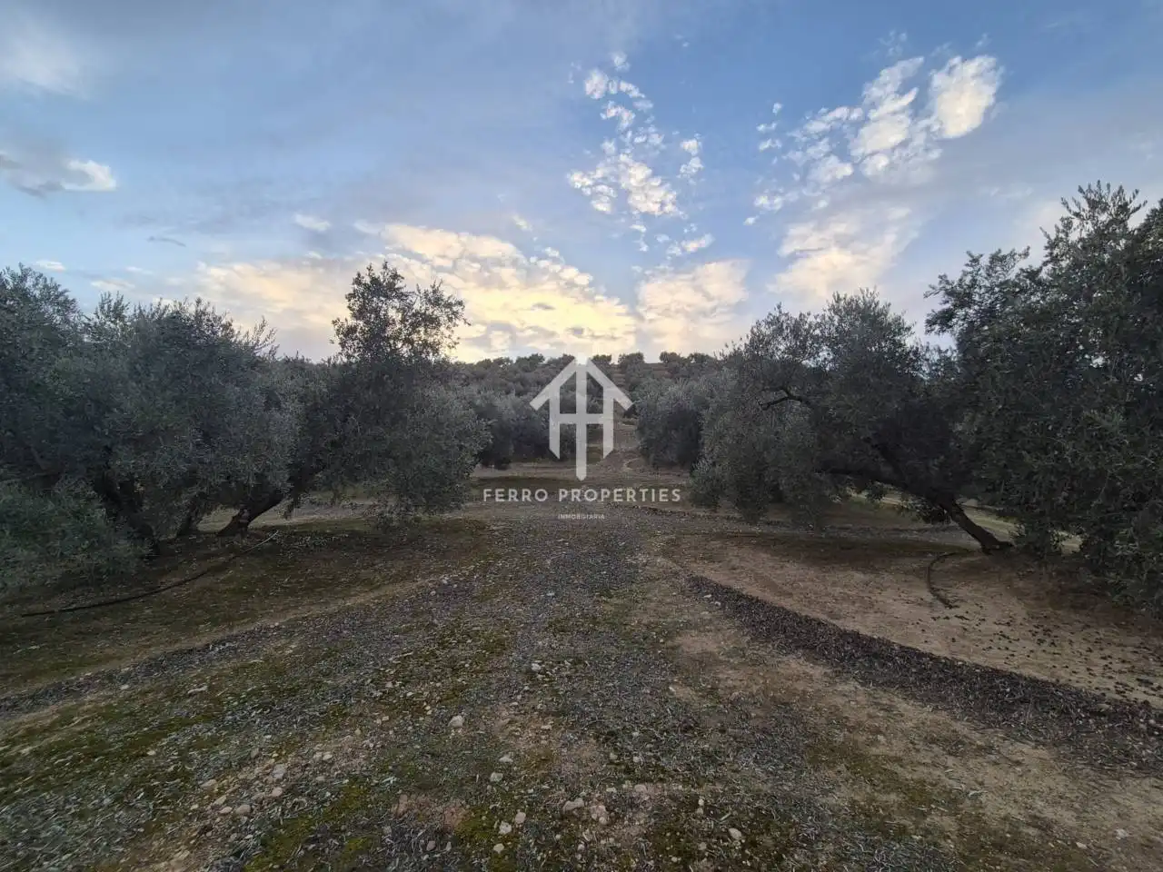 Terreni e lotti in vendita a Huétor Tájar, imagen 29