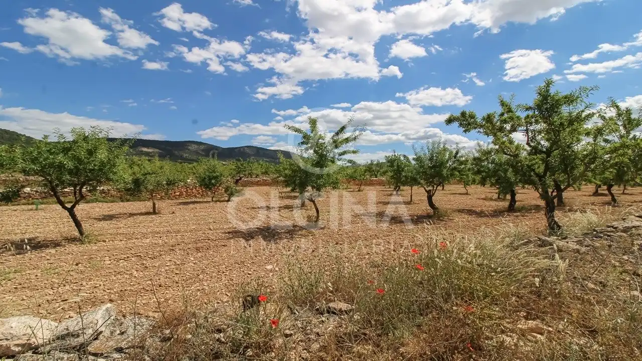 Finca rústica en venta en Onil con Aire acondicionado y Terraza