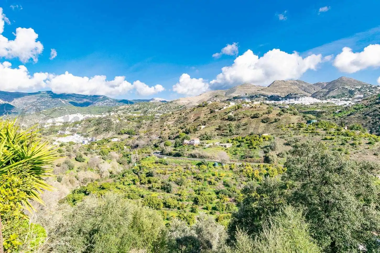 Casa amb jardí en venda a Árchez, imagen 8