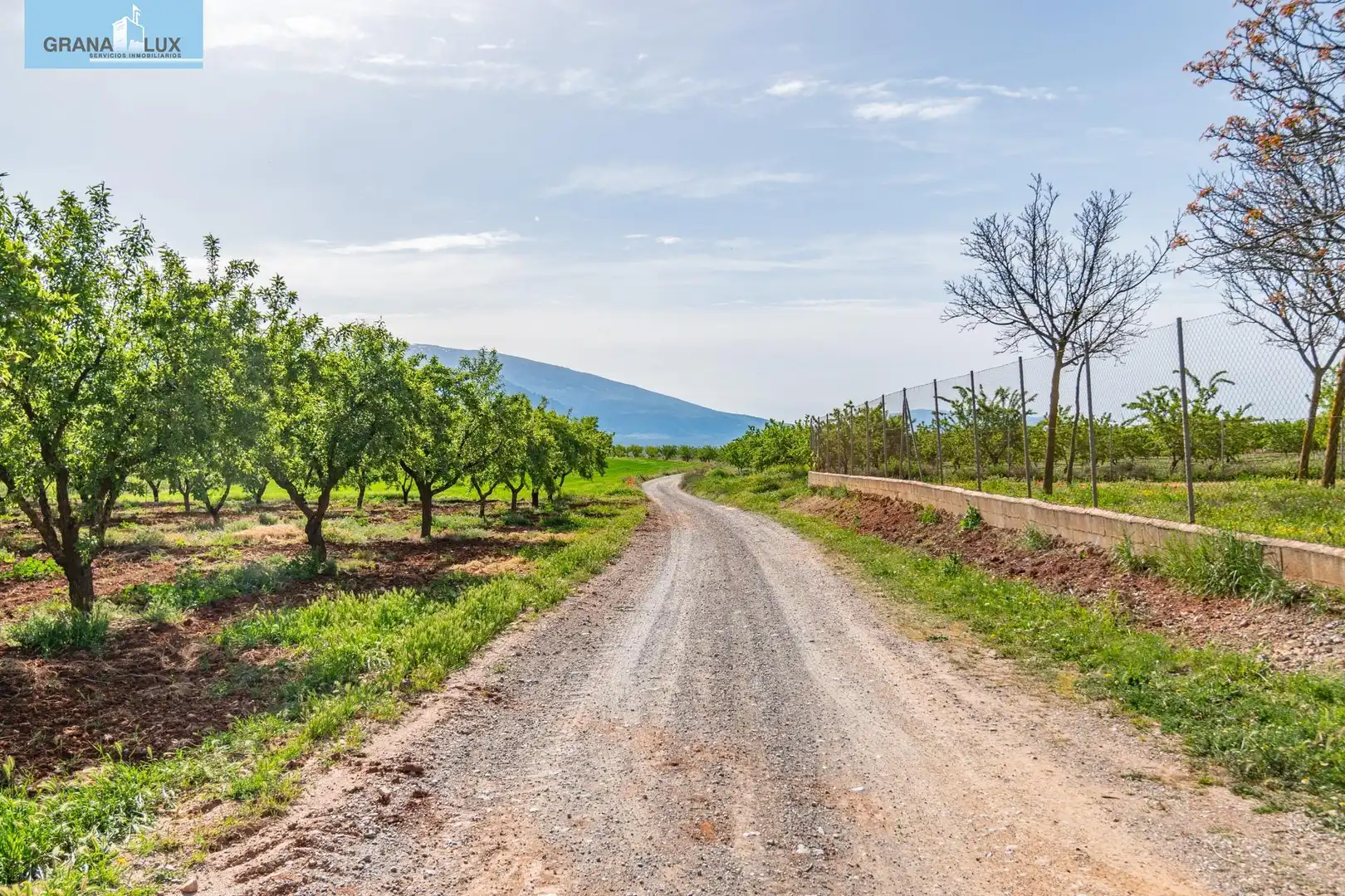 Rural land for sale in 18640, imagen 7