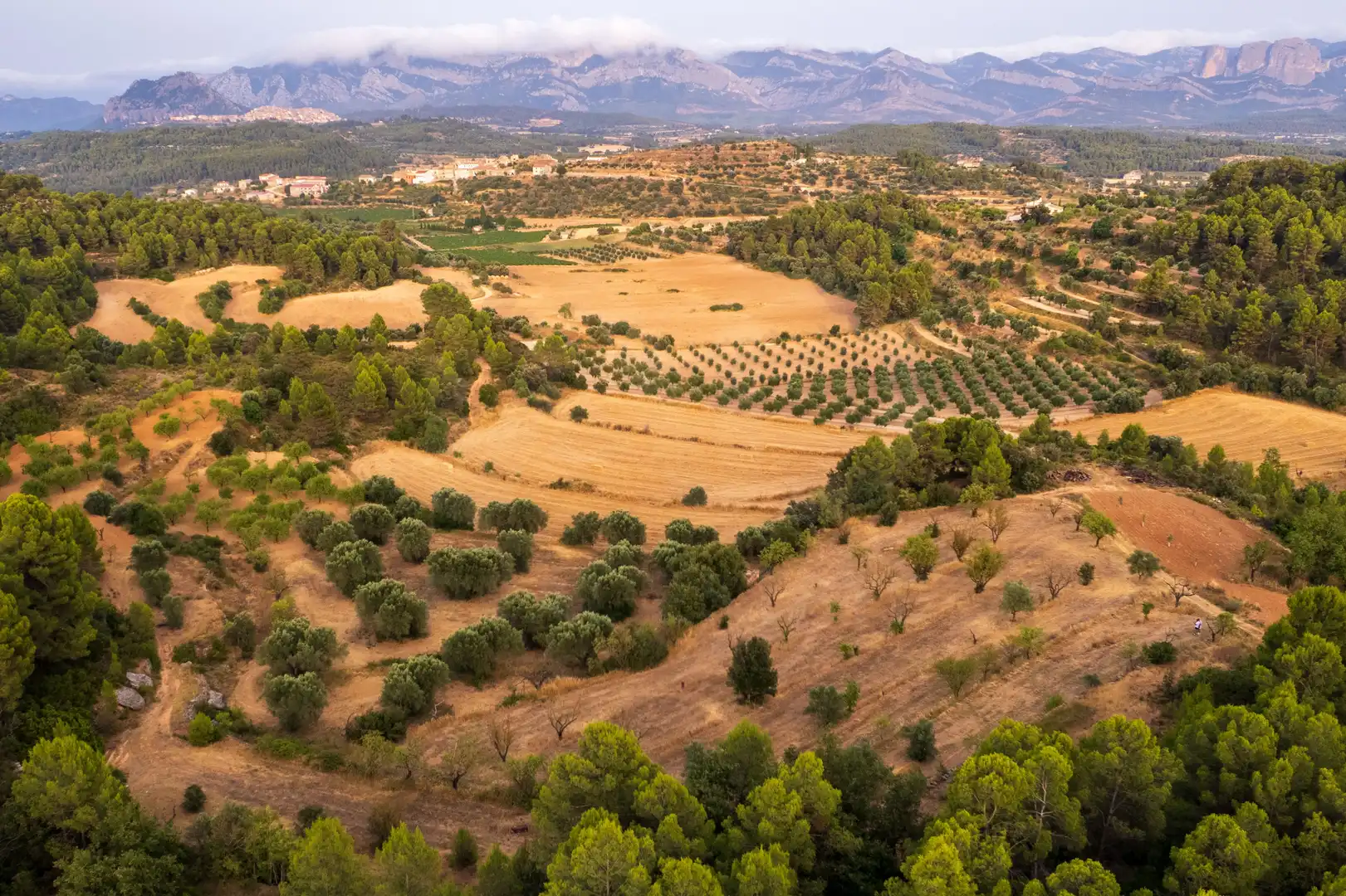 Rural land for sale in Lledó, imagen 6
