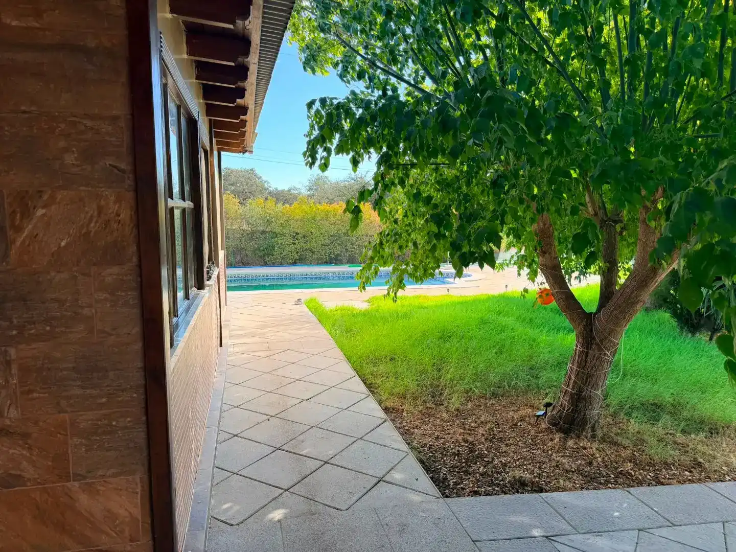Terrassa de Casa o xalet en venda en Castilblanco de los Arroyos amb Aire condicionat i Piscina