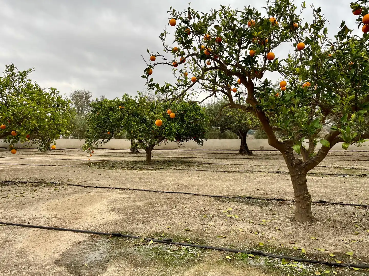 Detached homes for sale in Mojácar  with Air Conditioner, Heating and Private garden