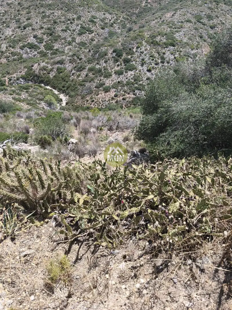 Residential land for sale in Calicanto - Cumbres de Calicanto - Santo Domingo, imagen 15