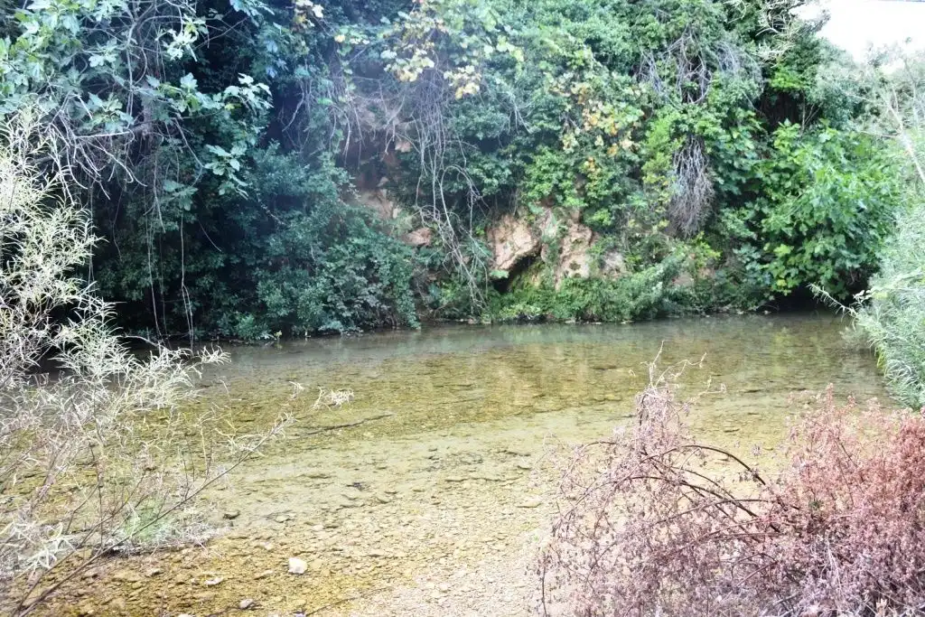 Terreni e lotti in vendita a Beceite, imagen 12