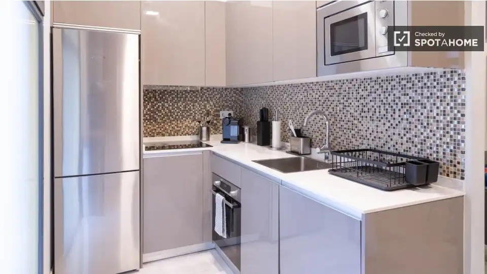 Appartamento con terrazza in affitto a Barrio de Salamanca, imagen 13