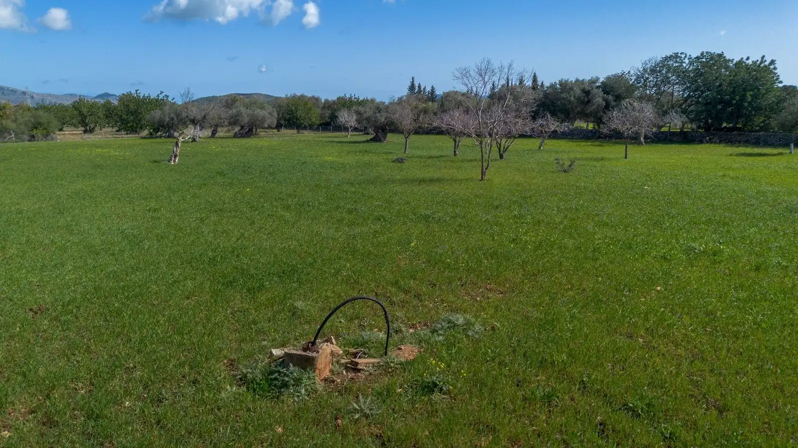 Landhaus zum Verkauf in Pollença Poble, imagen 40
