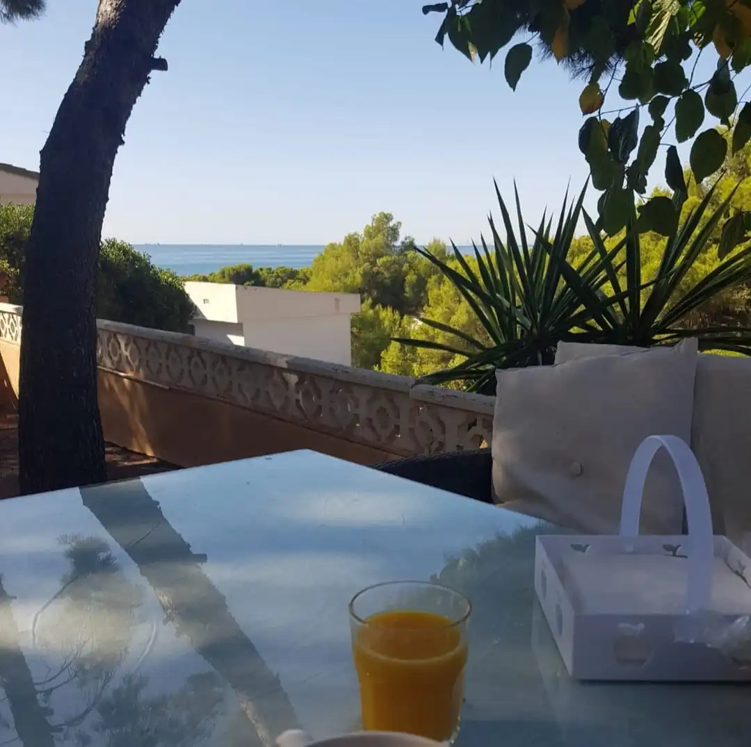 Houses for sale in La Renegà-Torre Bellver-Les Platgetes