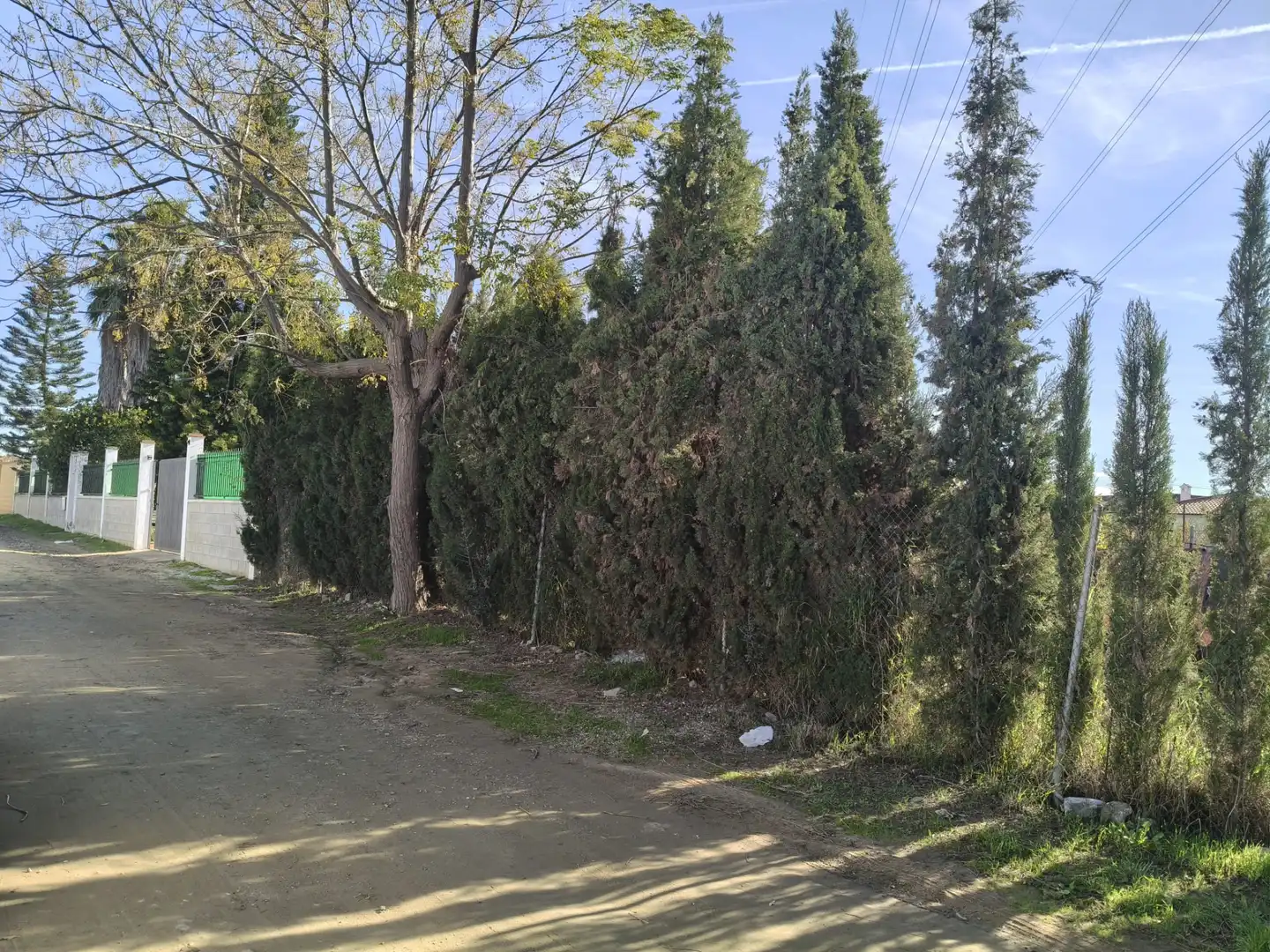 Detached house with pool for sale in Avenida del Convento 12, imagen 6