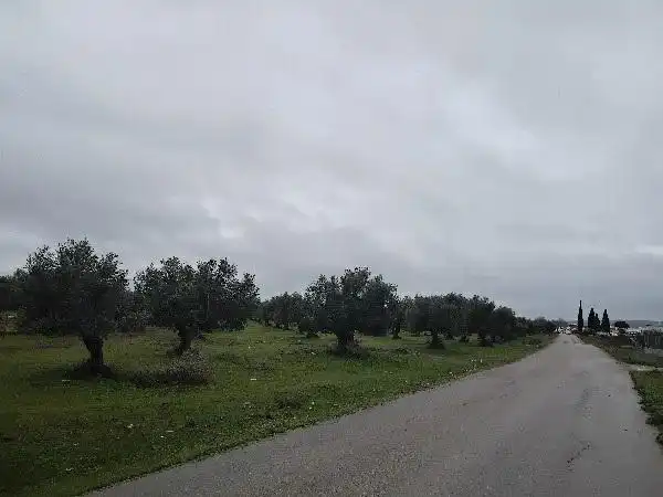 Rustikales Grundstück zum Verkauf in Puerto Serrano, imagen 9