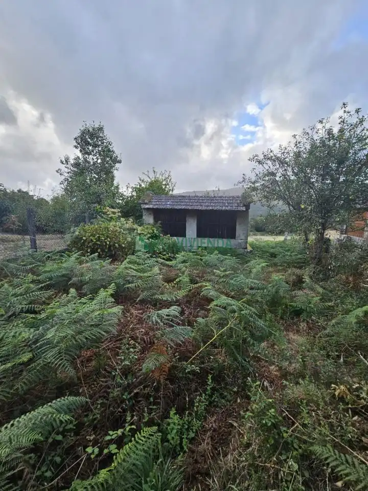 Casa amb jardí en venda a Covelo, imagen 25