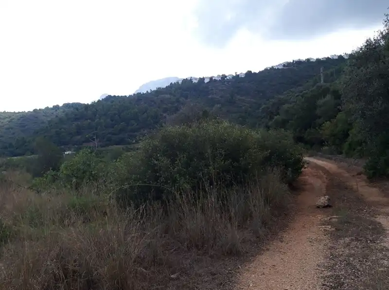 Terreno residencial en venta en Polígono 1 Parcela 130 RACONS DE PEGO, imagen 4