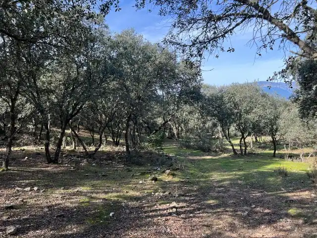 Terreno en venta en Almendral de la Cañada, Toledo