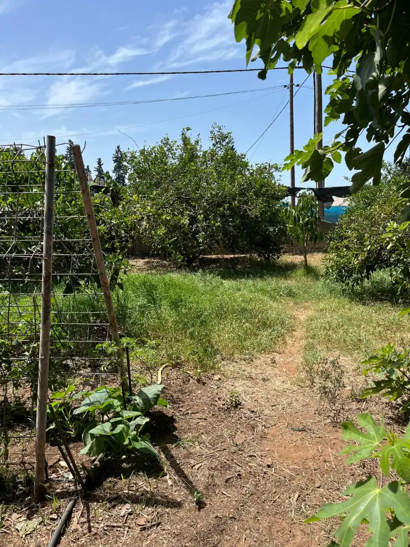 Land for sale in El Puerto de Santa María