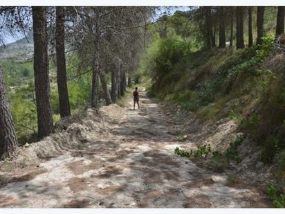 Exterior view of House or chalet for sale in Castell de Castells  with Swimming Pool
