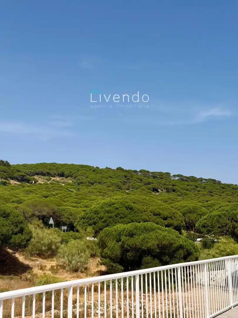 Casa o xalet en venda en Barbate amb Terrassa, Piscina i Moblat