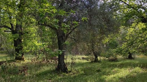 Finca Rúst. en venta en Aracena., imatge 5