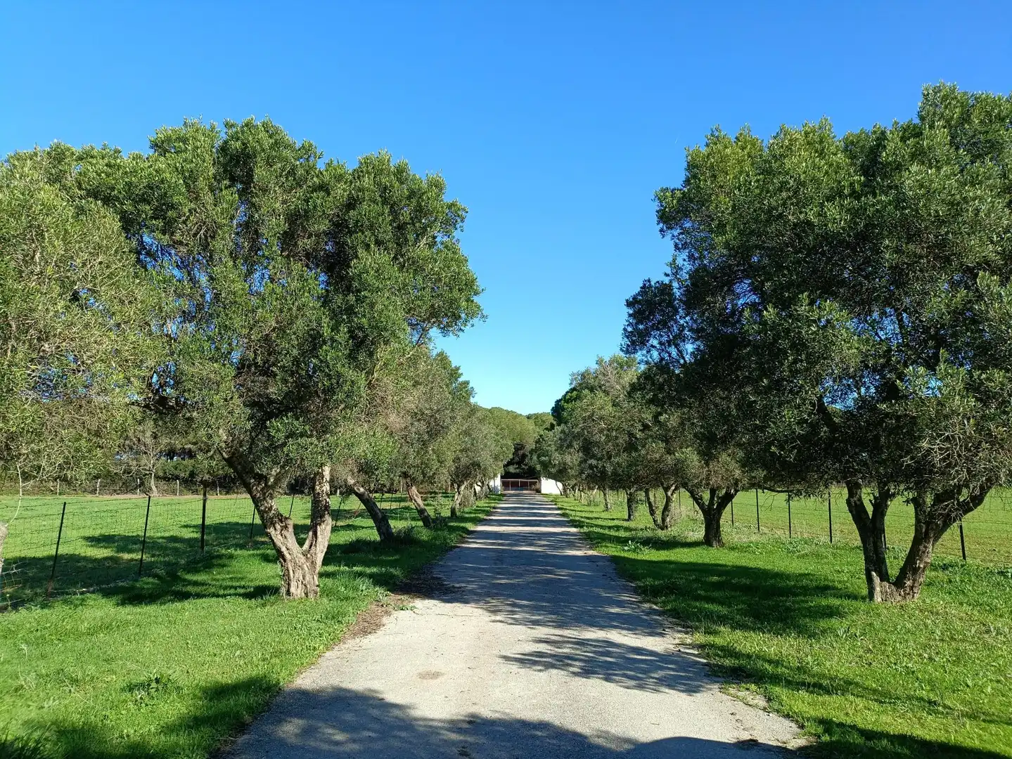 Casa rústica en venda a Villanueva Golf, imagen 27