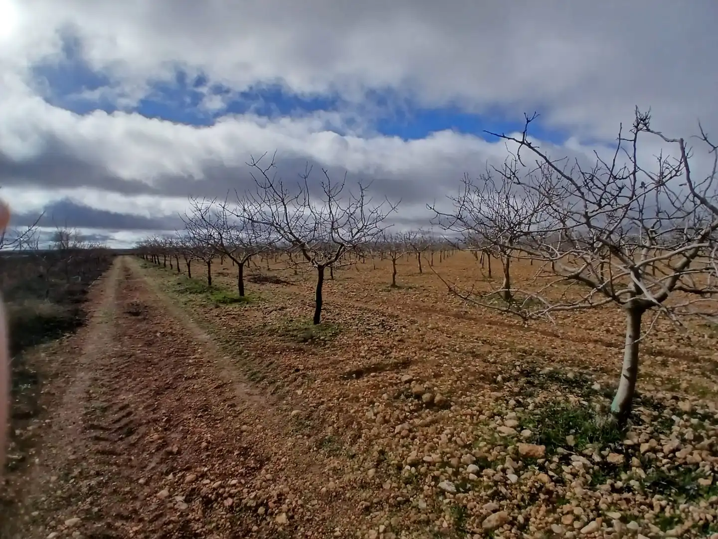 Rural land for sale in Carretera Solana, imagen 29