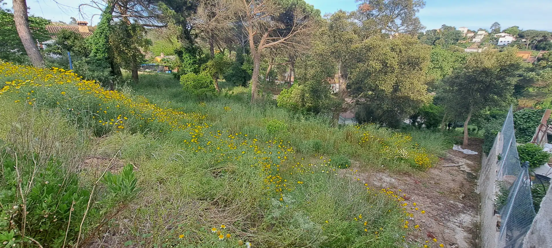 Wohnbaugrundstück zum Verkauf in Residencial Park, imagen 3