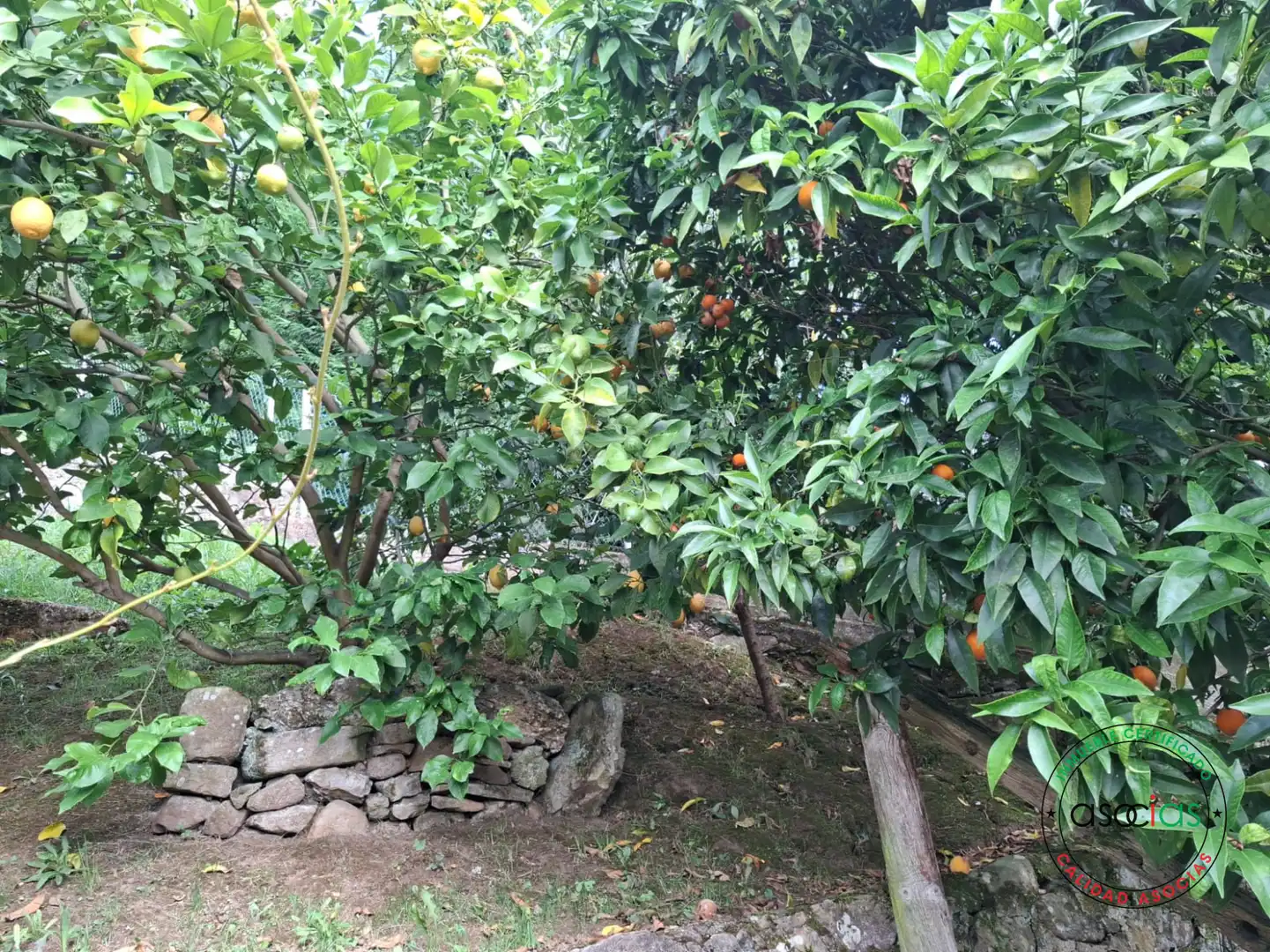 Jardín de Casa o chalet en venta en Gijón  con Jardín privado, Terraza y Trastero