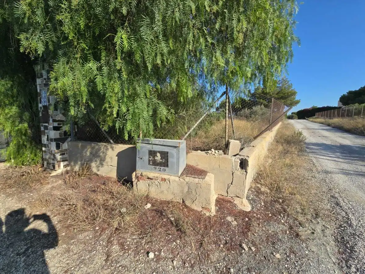 Vista exterior de Finca rústica en venta en Elche / Elx con Terraza