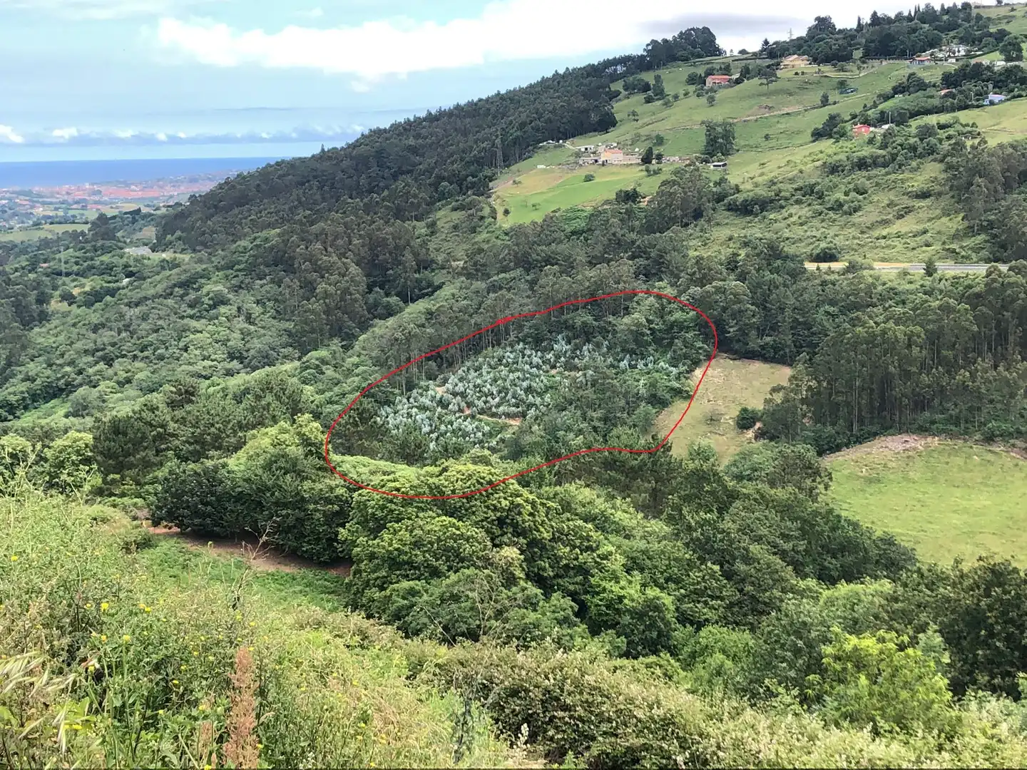 Terreno rustico in vendita a Rural