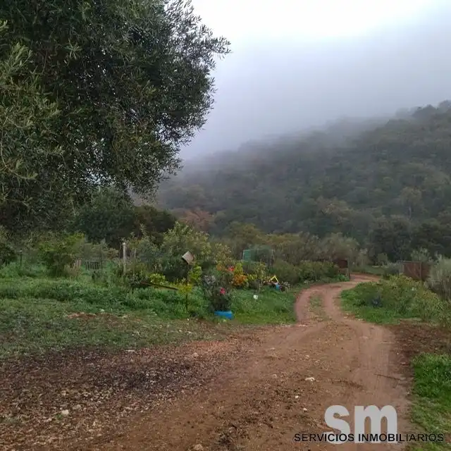 Terreni e lotti in vendita a Benaocaz, imagen 28