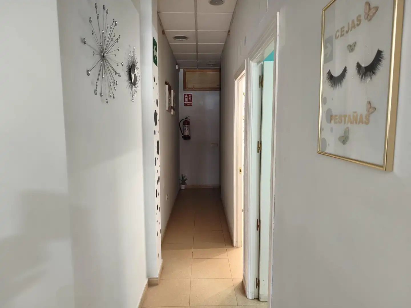 Local commercial à vendre à Avenida de Doña Maria de las Mercedes, imagen 4
