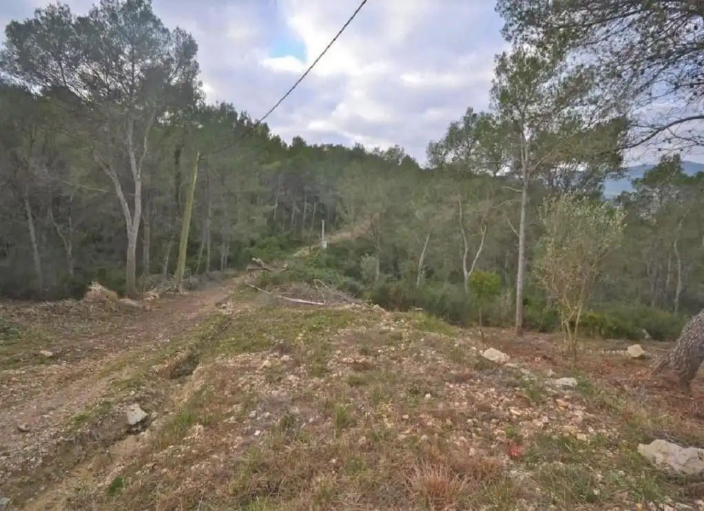 Terrain rustique à vendre à MONTGROS, imagen 3