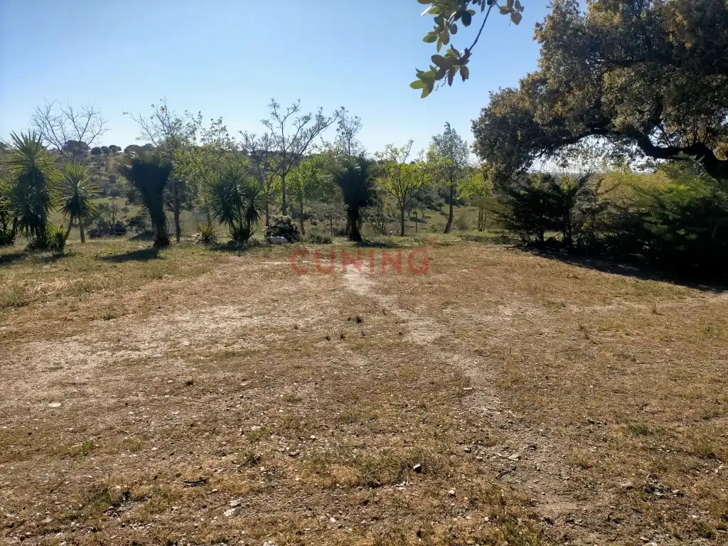 Casa rustica in vendita a Poligono 2 Paraje 95 Dehesa Boyal, imagen 19