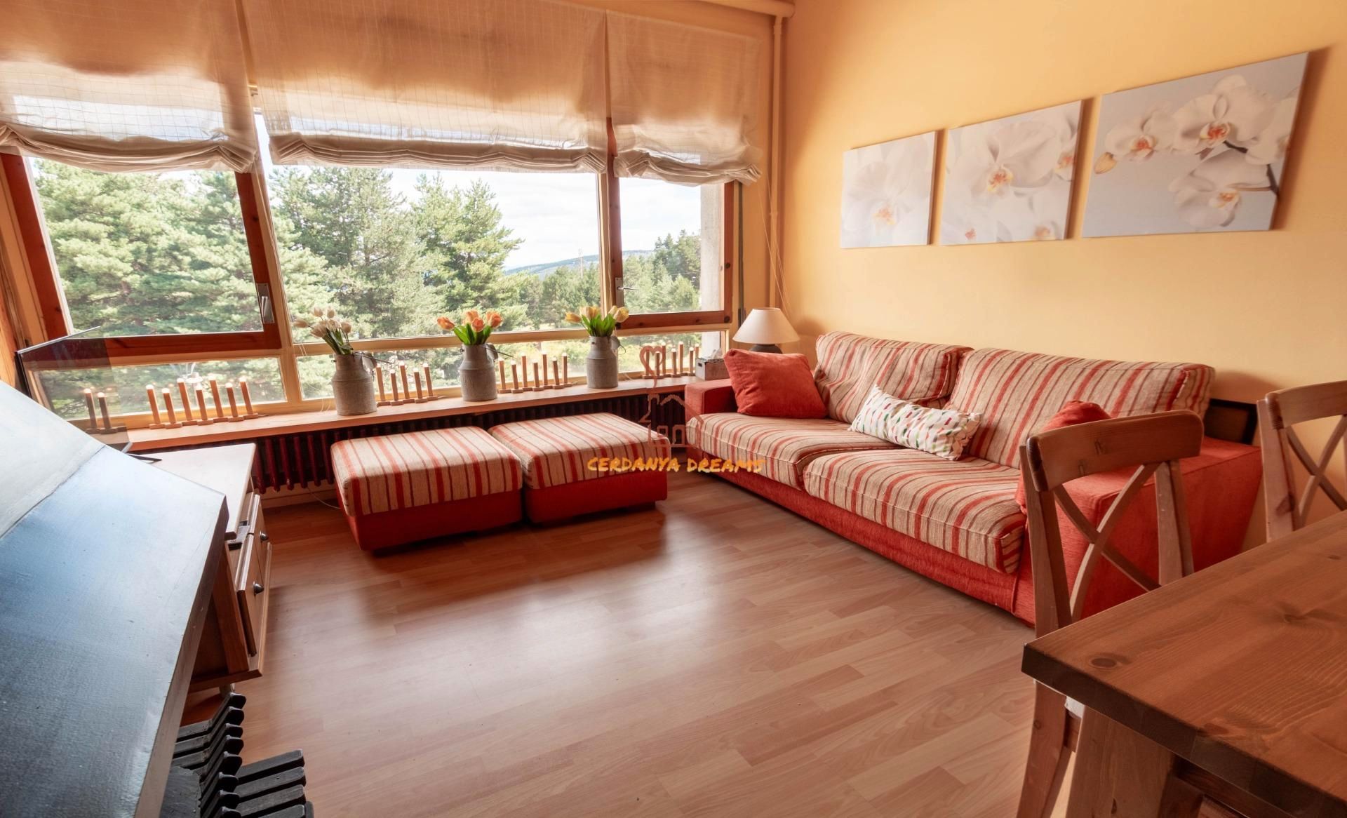 Sala d'estar de Dúplex en venda en Alp amb Calefacció, Parquet i Traster