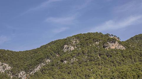 Photo 4 of House or chalet for sale in Andratx pueblo, Illes Balears