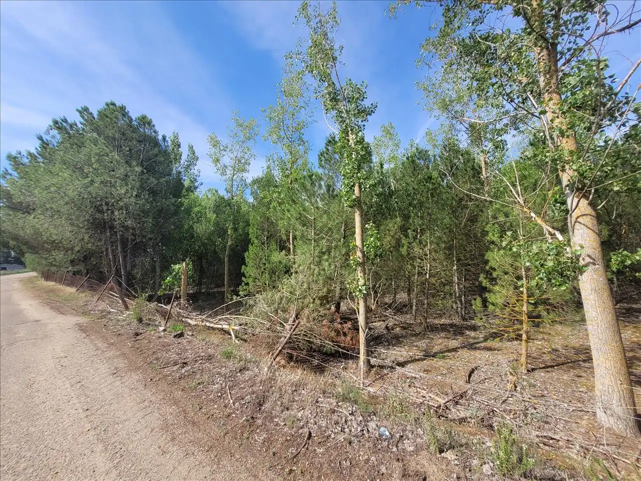 Residencial en venta en 1 Parcela , Coreses