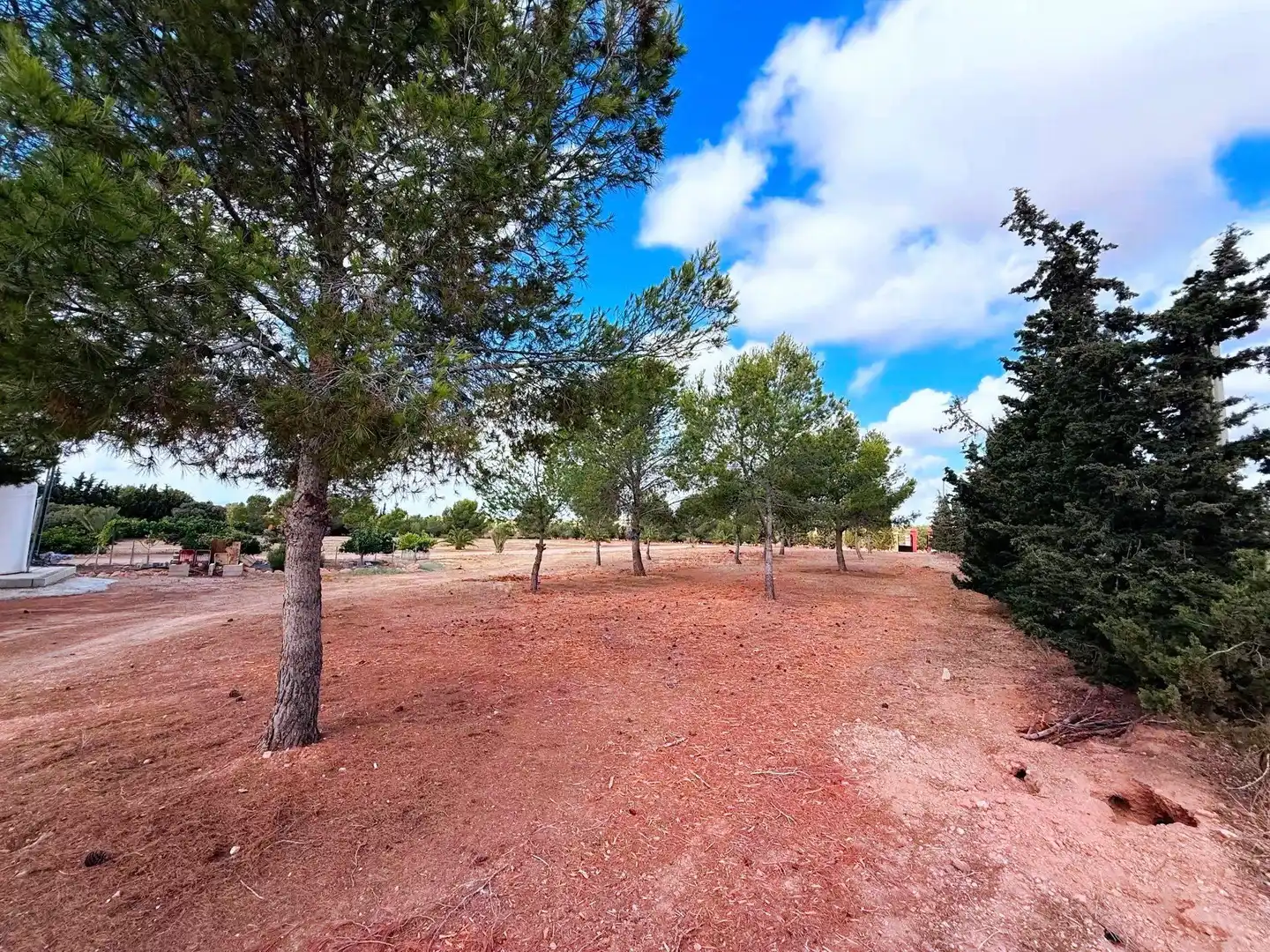 Finca rústica en venda en Murcia amb Piscina