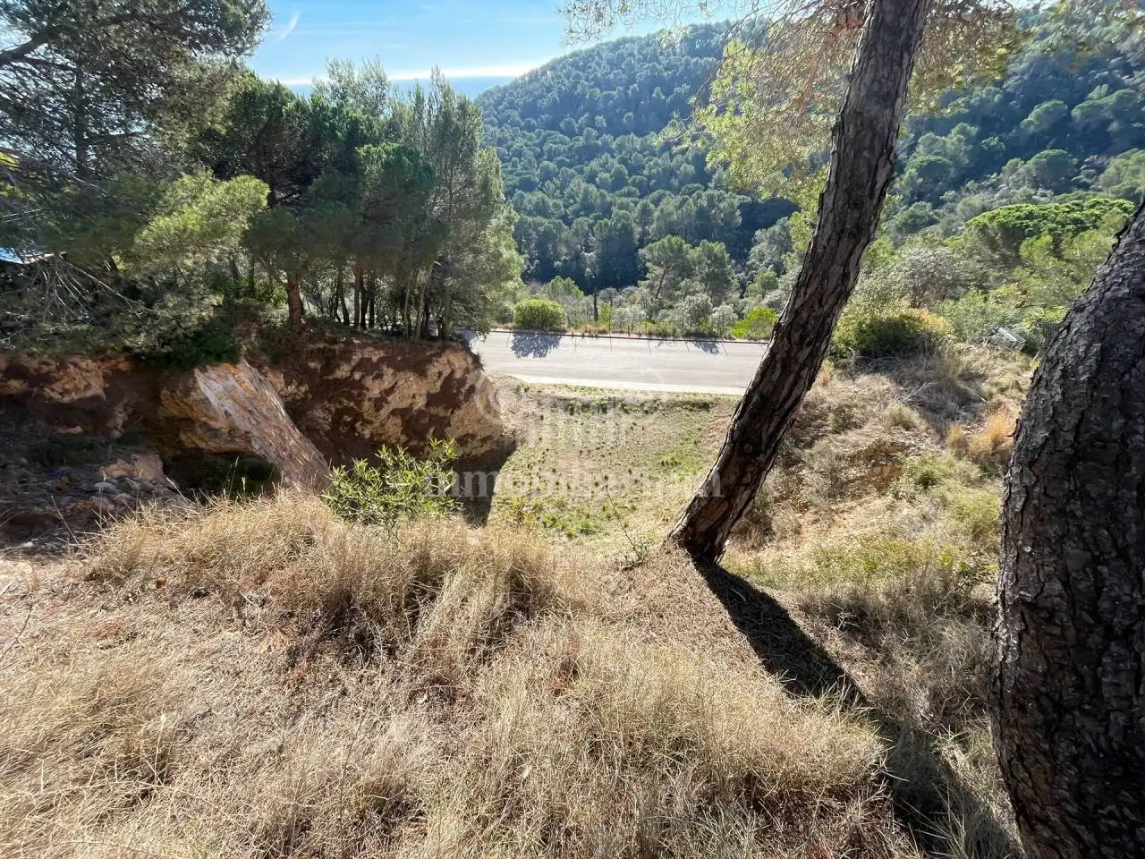 Terreno rustico in vendita a Santa Cristina, imagen 9