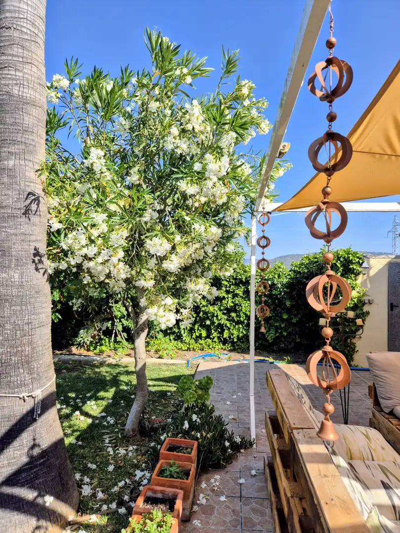 Jardín de Casa o chalet de alquiler en Sa Pobla con Calefacción, Jardín privado y Terraza