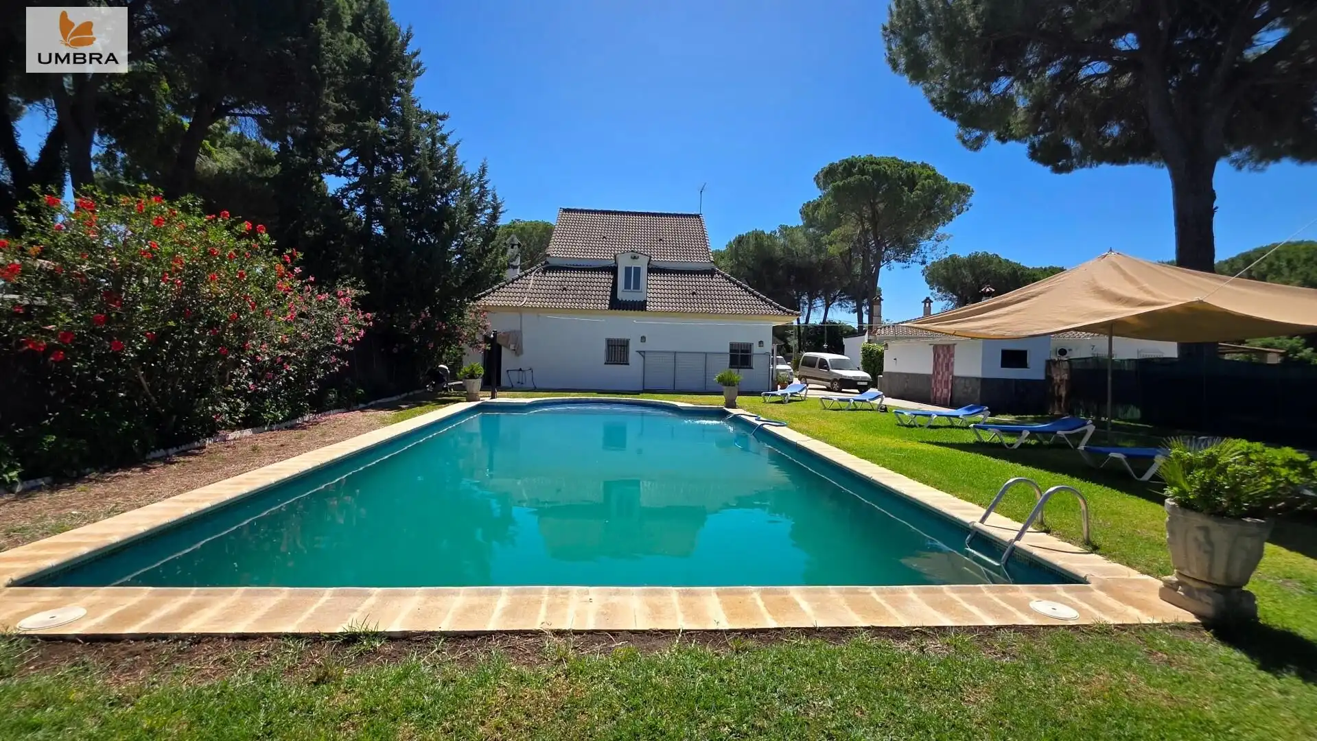Piscina de Finca rústica en venda en Jerez de la Frontera amb Aire condicionat, Jardí privat i Terrassa