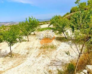 Grundstücke zum verkauf in Vélez-Blanco