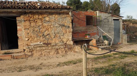 FINCA RUSTICA LLANA PLANTACION OLIVOS MASIA DE PIEDRA  40 M2, immagine 3