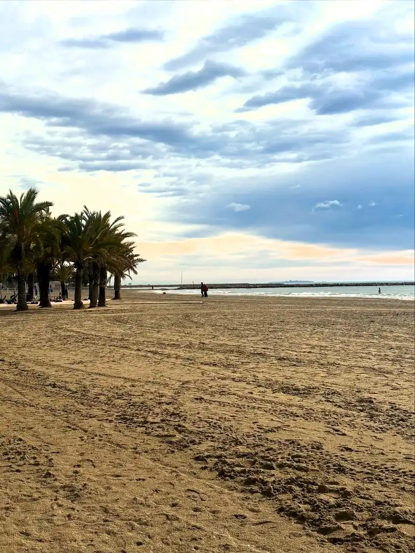 Pis amb terrassa en venda a Santa Pola ciudad, imagen 65
