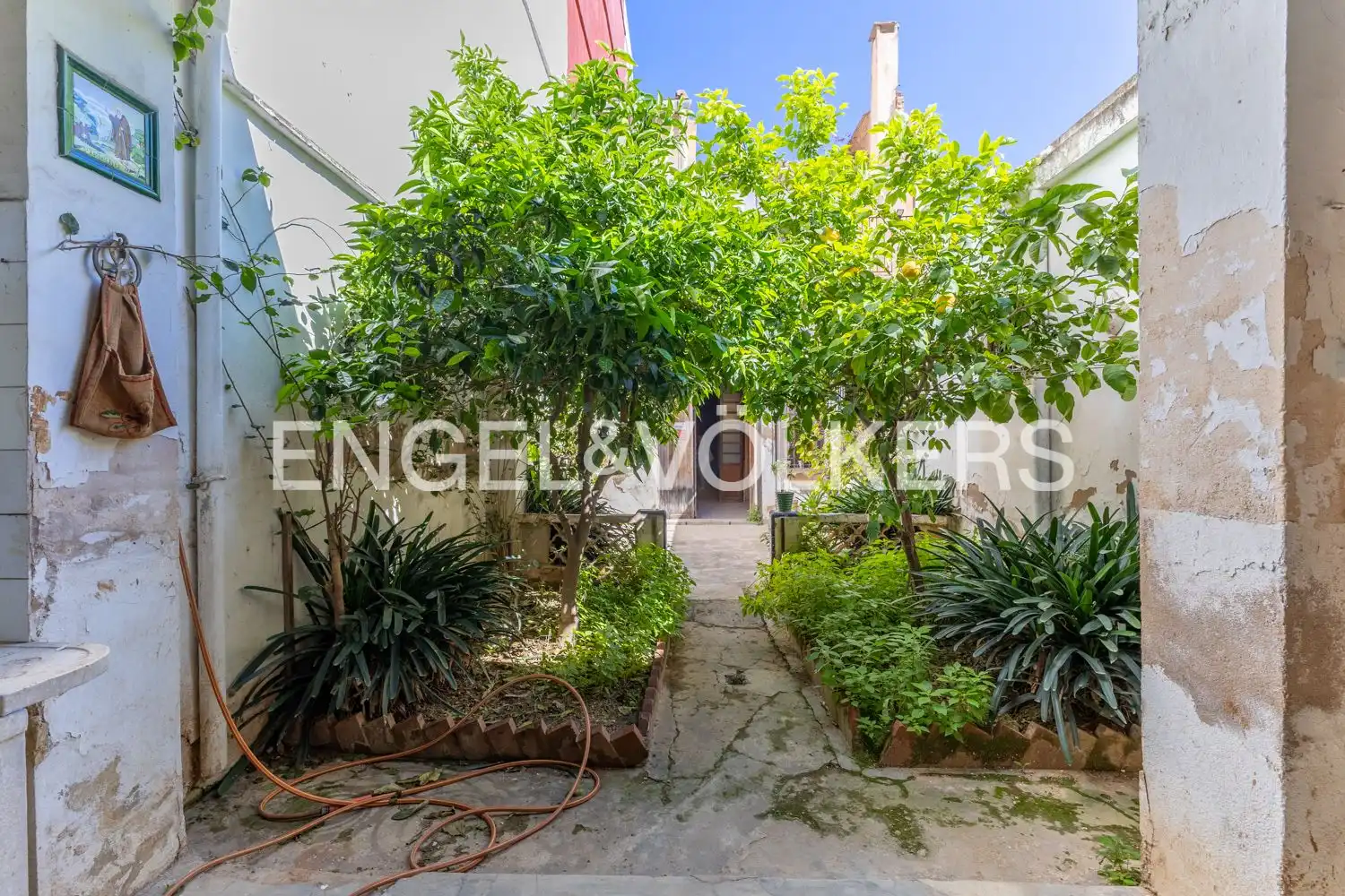 Houses for sale in Alfafar